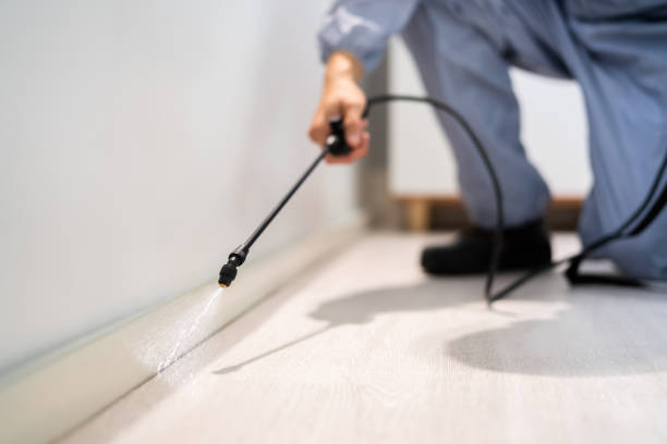 Licensed Pest Control service in Creswell, OR - Show Me Pest Control