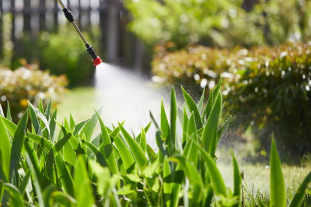 24/7 Emergency Mosquito Control experts in Creswell, OR