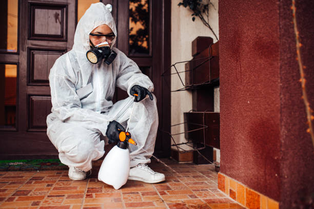 Reliable Mosquito Control contractor in Creswell, OR by Show Me Pest Control