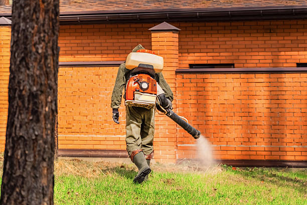 Top rated local Mosquito Control specialists in Creswell, OR